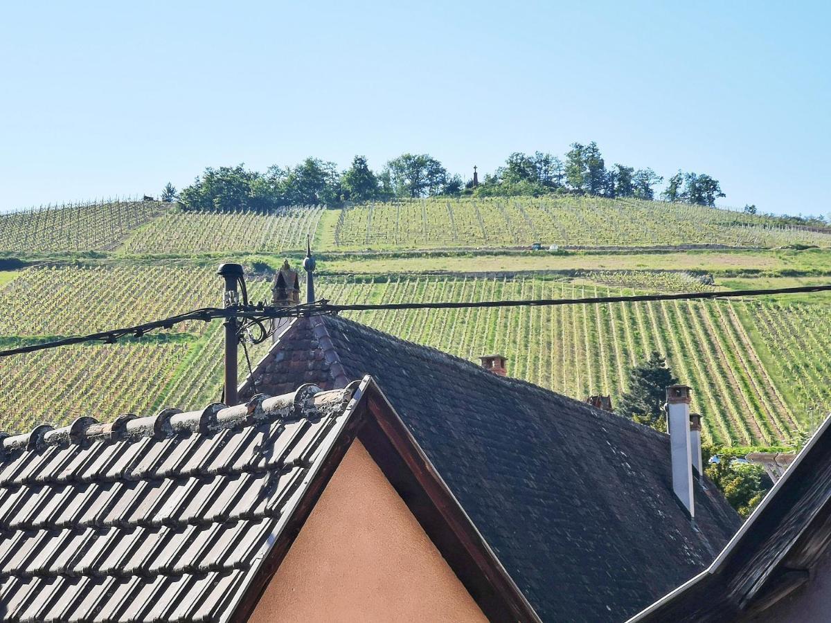 ✪ Le Convivial ✪ Duplex Alsacien ✪ Parking ✪ Rbnb✪ Turckheim Exterior photo